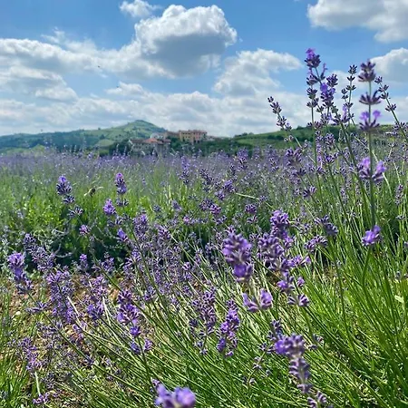Casa Perazzolo בית חווה