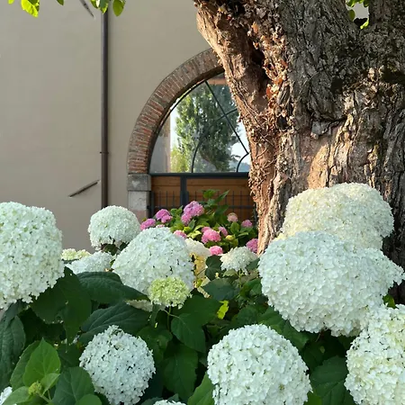 בית חווה Casa Perazzolo