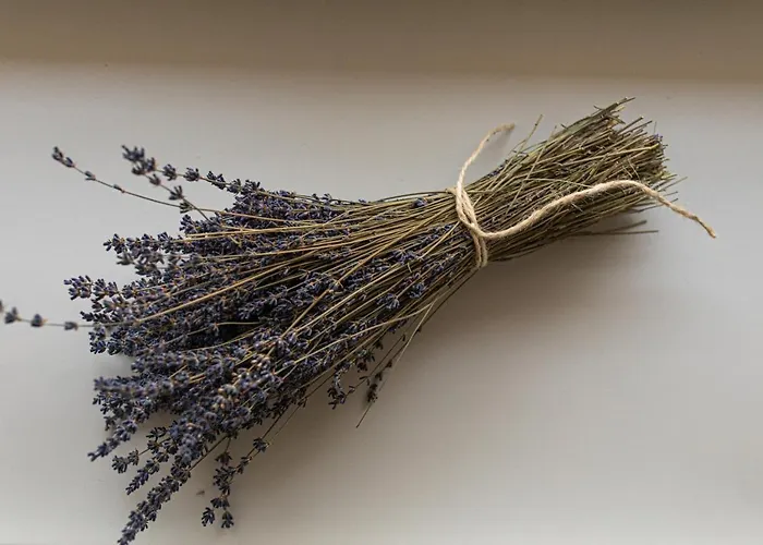 Casa Perazzolo Agroturismo Montecchia di Crosara