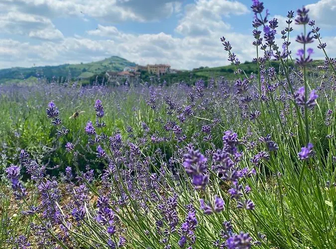 Casa Perazzolo Agroturismo