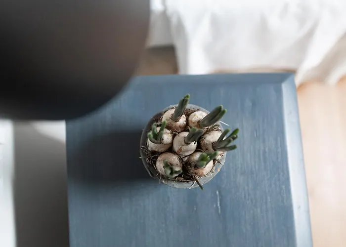 Casa Perazzolo Montecchia di Crosara