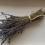 Casa Perazzolo مزرعة للإقامة Montecchia di Crosara