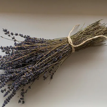 Casa Perazzolo Feriegård Montecchia di Crosara