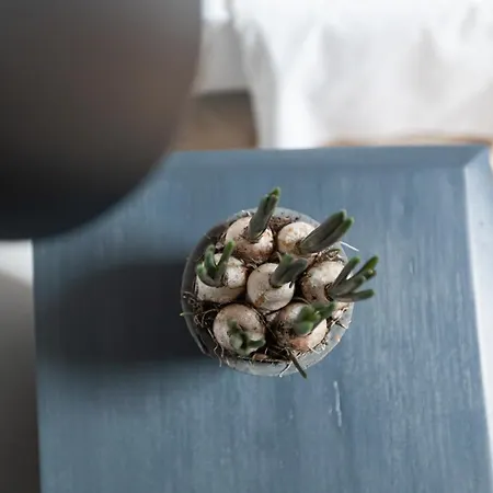 Casa Perazzolo Montecchia di Crosara