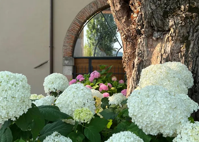 Farm stay Casa Perazzolo